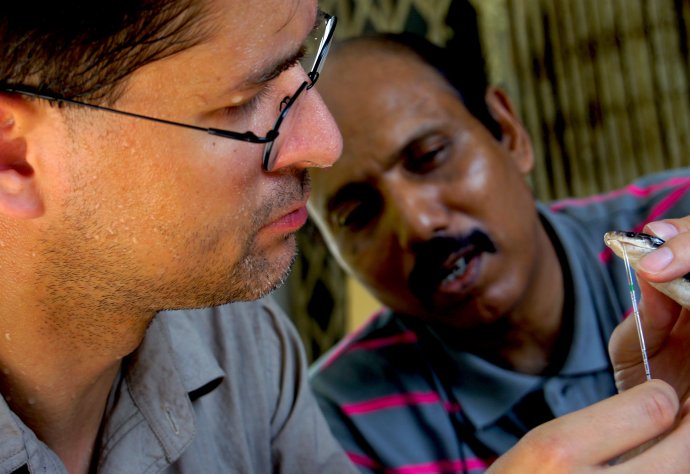  Photo title: Kraits at Night  Photo credit: Oliver G. Becker / Occasione Documentaries  Photo caption: Bites by kraits are a leading cause of snakebite mortality in Southeast Asia. They typically occur at night, on sleeping people and cause neuromuscular paralysis. Kraits produce very small amounts of venom and have only short fangs to inject it. Thus, conventional ways of venom extraction are ineffective. In this photo, Prof. Md. Farid Ahsan (University of Chittagong) and Dr. Ulrich Kuch (Goethe Universit