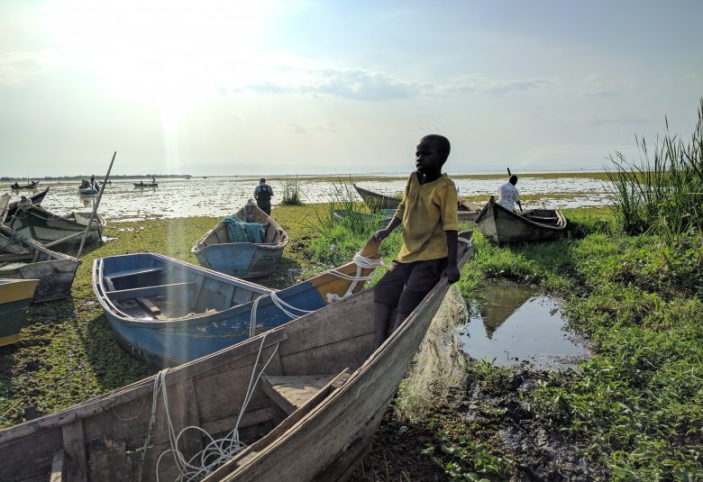 Credit: Michelle Stanton  Caption: Lake Albert, Uganda during a schistosomiasis survey. Snails were being sampled in the lake, which can be seen to be covered in water hyacinth. All 30 children surveyed in the nearby school tested positive for schistosomiasis despite regular treatment with partiquantel, highlighting the difficulties in reducing the burden of this disease. 