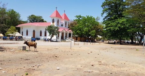 A typical scene in Timor-Leste © Katherine Fowden