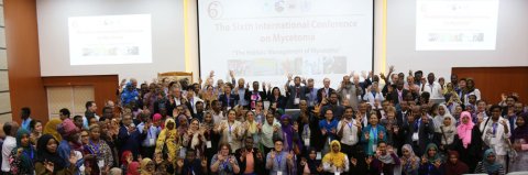 The Sixth Mycetoma International Conference, Khartoum, Sudan, 2019.