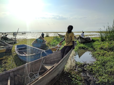 Schistosomiasis survey, Lake Albert, Uganda. Snails are sampled in the lake covered in water hyacinth. Credit: Michelle Stanton