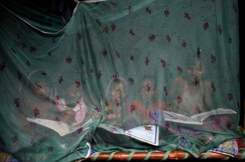 Children enjoy a summer afternoon sitting inside a mosquito net. Credit: Sudipto Das