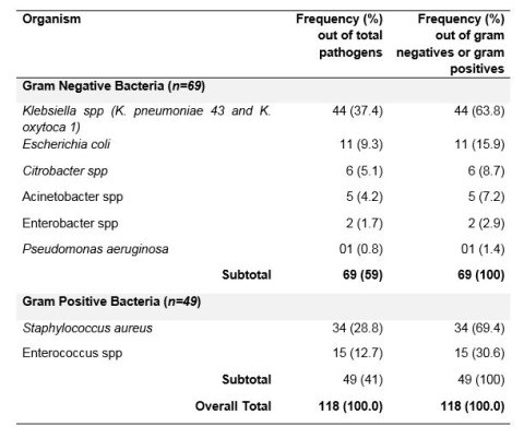 Resistance to most of the common antibacterial agents as a major finding