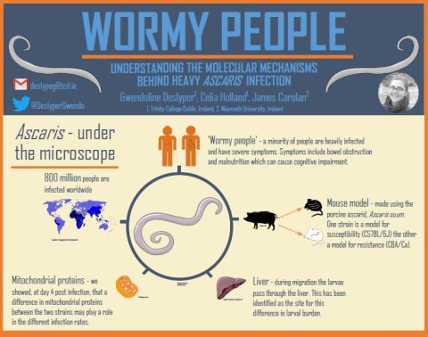 Wormy people: why some people are wormier than others