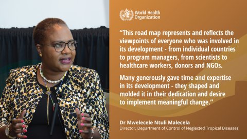 Dr Mwele Malecela on the NTD road map