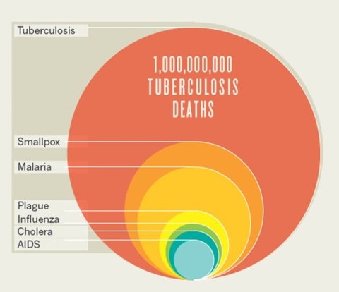Figure 2. Comparison of epidemics by death toll.  Taken from: Paulson, T. Epidemiology: A mortal foe. Nature 502, S2–S3 (2013). https://doi.org/10.1038/502S2a