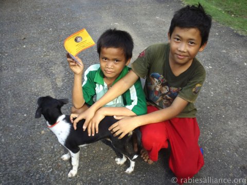 Credit: Global Alliance for Rabies Control Caption: Nias Island Mass Dog Vaccination 2015 - this mass dog vaccination campaign was held on Nias Island, Indonesia, as part of the Communities Against Rabies Exposure (CARE) project. These two boys are proudly showing off their rabies vaccination certificate after they brought their puppy to be vaccinated. 