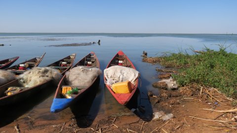 Credit: Stefano Catalano   Caption: “Make Lake Guiers canoeable again”. Near Mbane, Senegal, an area heavily affected by schistosomiasis disease after major infrastructure development and land-use changes at the beginning of the 90s.  Credit: Stefano Catalano   Caption: “Make Lake Guiers canoeable again”. Near Mbane, Senegal, an area heavily affected by schistosomiasis disease after major infrastructure development and land-use changes at the beginning of the 90s.
