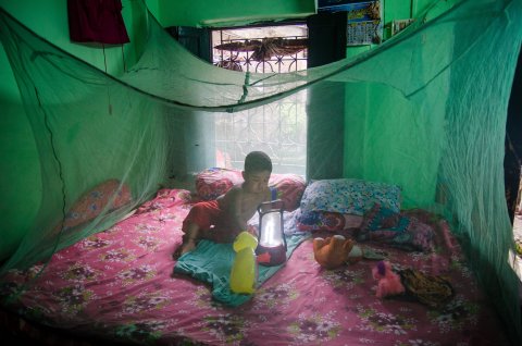 Safe from the dengue. A boy, aged two, plays inside a mosquito net in Kolkata, West Bengal, India. Over 13,000 people have been affected by the vector-borne disease in the State of west Bengal in the year 2017, while the death count is 30. As a preventive measure, the use of mosquito net is widespread among the residents of the city. Credit: Sudip Maiti